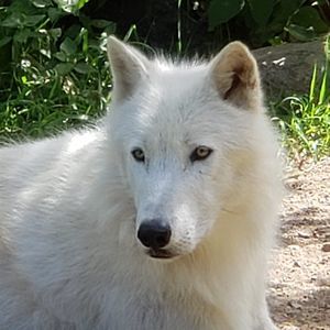 Meet your Posher, Bill